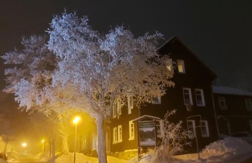 Oberhof Apartment | Experience Oceanfront Bliss at Zur alten Tischlerei
