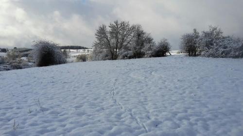 Hellenthal Apartment | Idyllic Retreat at Zur schönen Aussicht - Family-Friendly Stay