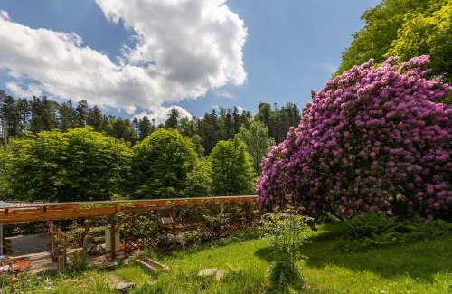 Passau House | Family-Friendly Retreat at Zur Triftsperre with Breakfast