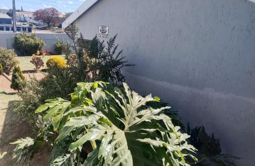 Grahamstown Bed & Breakfast | Zuzani Ikhaya B&B