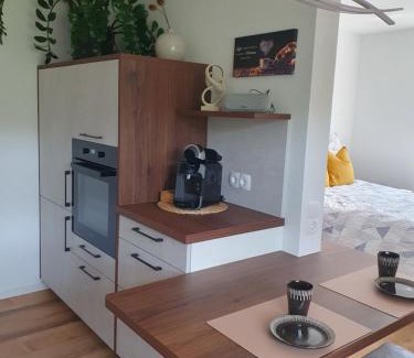 Eisenbach Apartment | Zwischen Frankfurt und Würzburg im schönen Odenwald