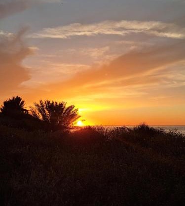 دار البحر