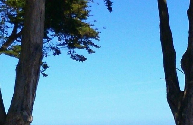 100 meters from the sea between Cotinière and Chassiron lighthouse.