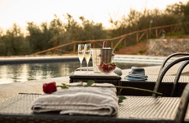 15th century barn fully renovated in a stylish style with gorgeous swimming pool