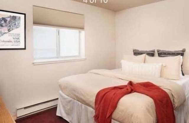 2/2 Condo Aspen Core Condo, Walk to Everything!