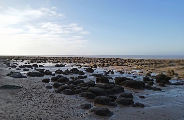2 Bedroom Caravan at Heacham Beach With Decking