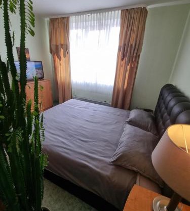 2-room apartment in the house with the SEPARATE ENTRANCE & FREE parking