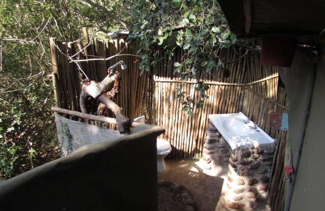 3 bed bush-tent under 3 trees, for couple plus chaperone Free lion hyena sounds