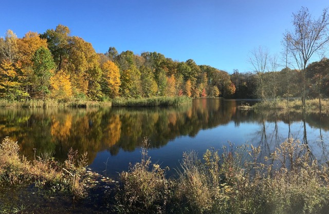4,000 SF Country House on 26 Acres, totally secluded with 9 Acre Pond