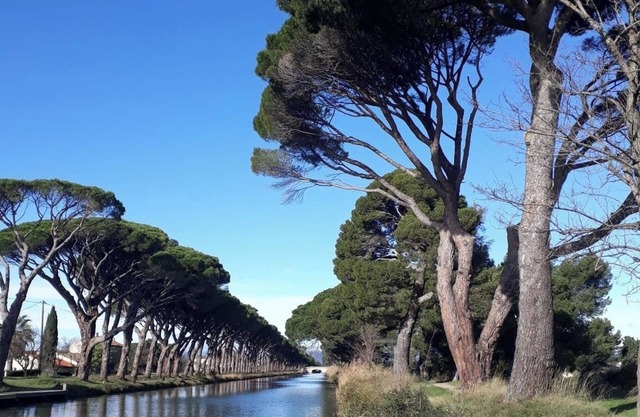4 Bedroom Private vacation home in SallÃ¨les-d'Aude