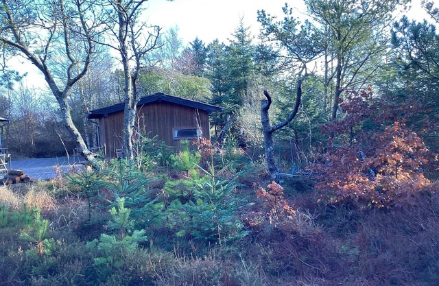 4 star holiday home in Ålbæk