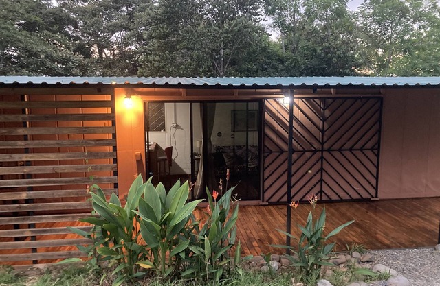 40' Tasteful container tucked away in the Jungle!