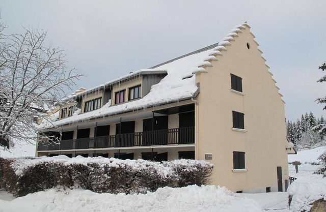 50m from resort center, Ground floor, tv, 29m², Villard de Lans