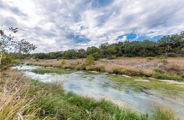 6) Texas Pride at Vineyard Trail Cottages