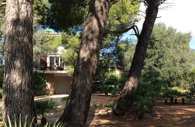 90m2 detached house on a 1000m2 enclosed garden bordered by cypresses & laurels