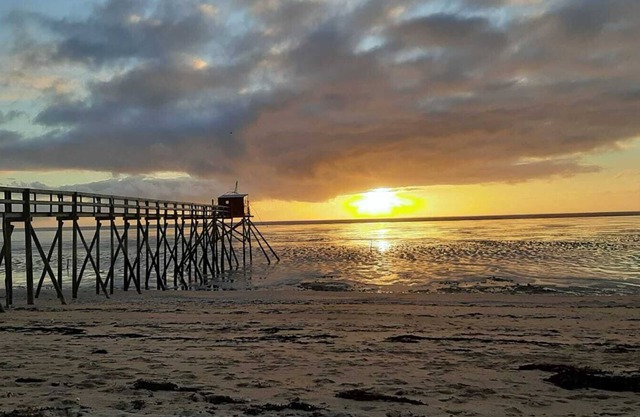 A 200m de la Plage, Jolie Maison D'architecte Avec 4 Chambres sur Jardin Arboré