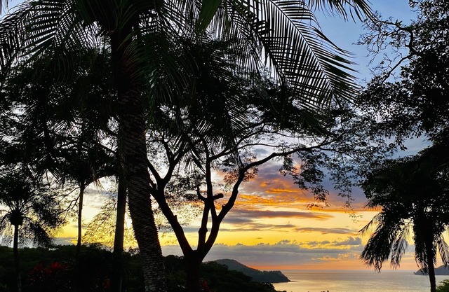 A cozy retreat in the Jungle with Spectacular Views of wildlife and sunsets