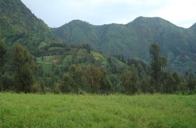 A double bedroom near Rehat Bromo Rst. & Warung Rinjani