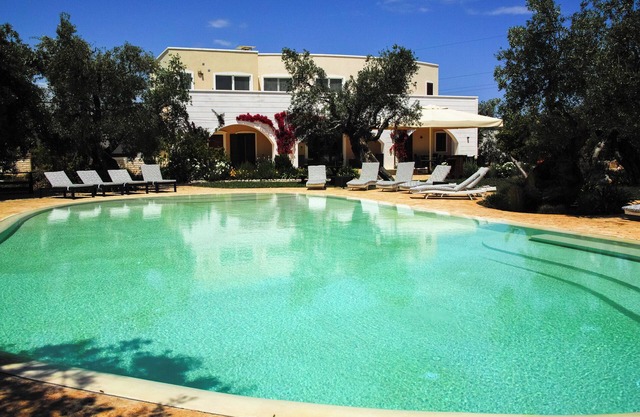 A lovely place emerged in the garden and surrounded by the olive trees