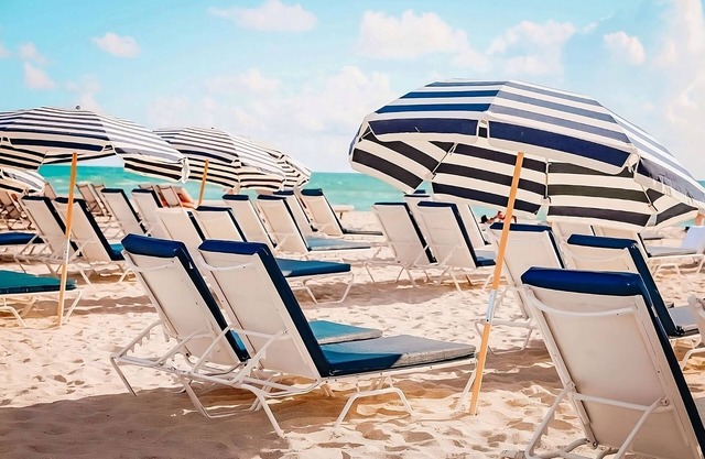 A Spectacular Retreat in the Heart of South Beach! Pets Allowed! Swimming Pool!