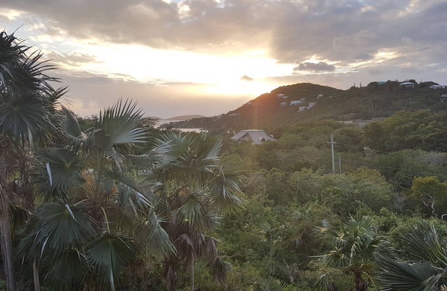A week in paradise