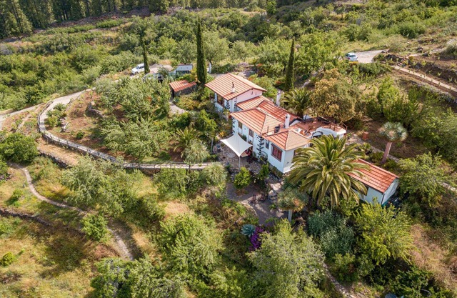 Absolute Ruhe und Alleinlage Über den Wolken, 30.000m²altkanarischesweingut,pool