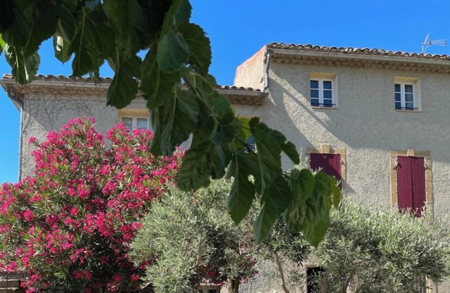 ABSTRUS gite for 2 people in the heart of the vineyards pets allowed -16 kg