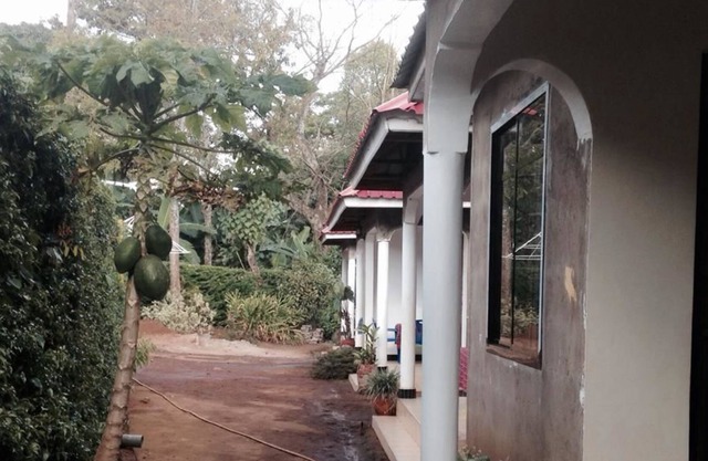 Acacia Tree Apartments