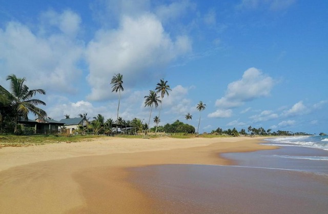 Afro Beach eco Resort Butre