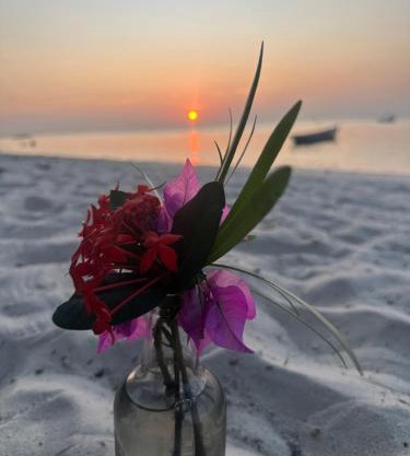 AfroWhaleSharkSafari & AfroBeachBungalows