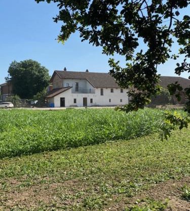Agriturismo AgriTexS