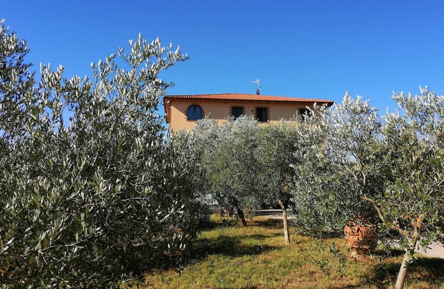 Agriturismo La Steccaia Alta