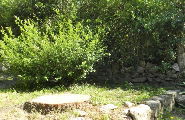 Agua de oro Housing