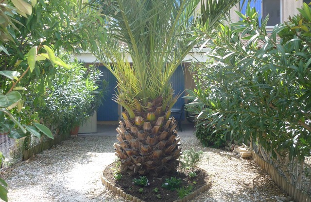 Air-conditioned villa with wifi pool in residence 300 m from the beach