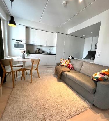 Airport brand new 1BR apartment fully equipped