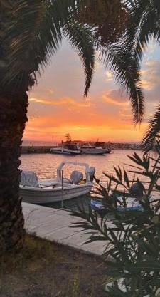 Alex house Thassos