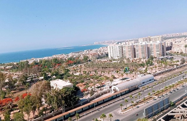 Alexandria el mamora