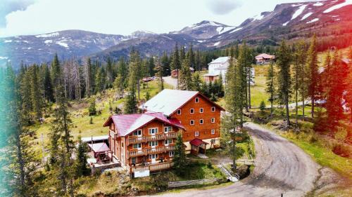 Alpin Eco Chalet & Wellness