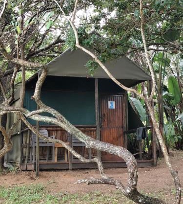 Amangwane Tented Camp