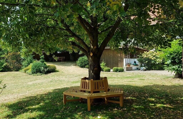 Amazing apartment in Gößweinstein