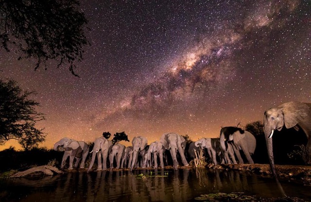 Antares Bush Camp & Umgede Hide