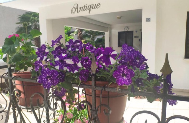 Antique The Hotel