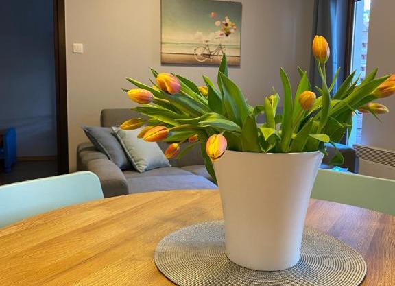 Apartament BalticPark Stegna