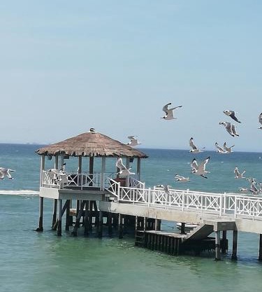 Apartamento con vista a Islas Ballestas