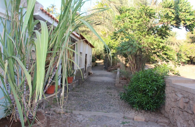 Apartamento Laranjinha