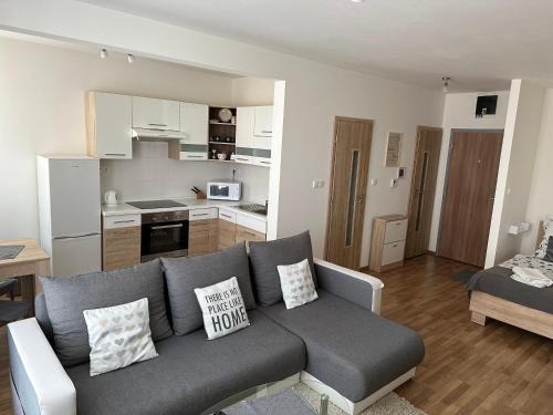 Apartmán Torysa