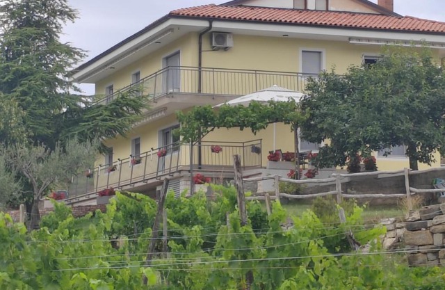 apartma Belveder