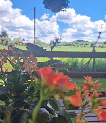 Apartman Mia