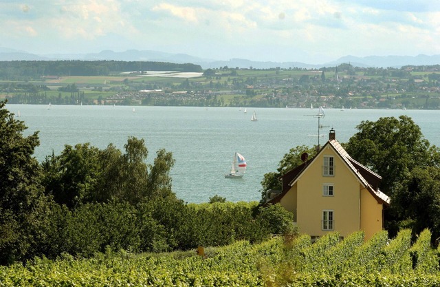 Apartment '2' with Private Terrace, Private Garden and Wi-Fi