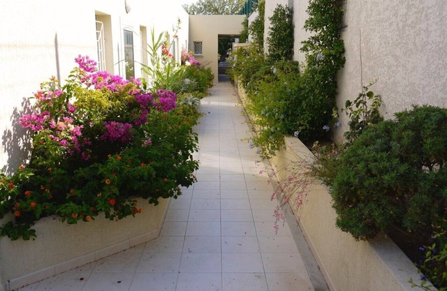Apartment 500 m from seafront and center of Ile Rousse